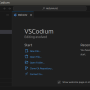 vscodium_project_first_view.png